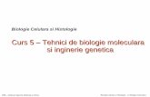 5 Tehnici Bio Molec