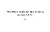 Inflamatii Specifice Si Nespecifice
