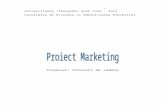 Proiect Marketing Produsul Ochelari de Vedere