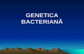 4. GENETICA BACTERIANA