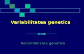 Variabilitatea genetica [6]