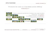 Proiecte de case - suprafata peste 200mp - Vol 1