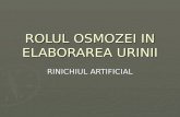Rolul Osmozei in Elaborarea Urinii(3)