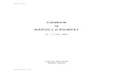 Napoli Pompeii Trip