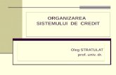 Tema 8. Organizarea Sistemului de Credit
