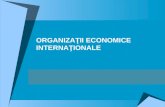 Organizatii Economice Internationale