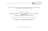 Cnee Centrul National Pisa Raport[1]