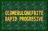 Glomerulonefrita Rapid Progresiva