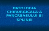 Patologia Pancreasului - Curs