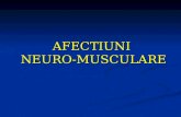 AFECTIUNI neuromusculare