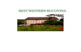 Gestiune Hoteliera - Best Western Bucovina