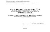 Introducere in administratia publica - an I, sem I - mina simona
