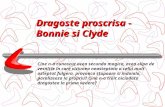 Dragoste proscrisa -    Bonnie si Clyde