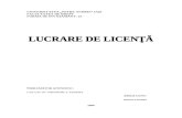 Licenta 2008
