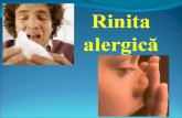Pneumologie - Rinita alergica