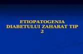 ETIOPATOGENIA DIABETULUI ZAHARAT TIP 2