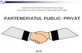 parteneriat public privat