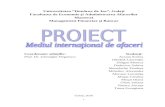 Proiect M.I.A. - Multiplicarea Banilor [ MFB - Rara Avis Team ]