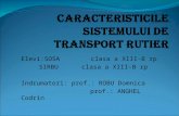 Caracteristici sistem transport rutier