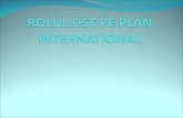 ROLUL DST PE PLAN INTERNATIONAL 2003