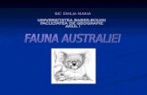 Fauna Australiei