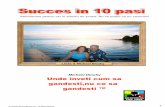 Succes in 10 pasi - mentoring