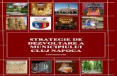 Strategia Municipiului Cluj Napoca