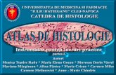 Atlas de Histologie(anatomie)