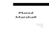 Planul Mashall - I.C.E.ss