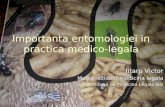 11.30 - Importanta entomologiei in practica medico-legala