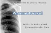 pneumotorax - boala respiatorie