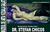 MAVG - Colectia Stefan Chicos
