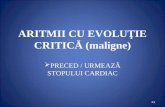 14. ARITMII CU EVOLU+óIE CRITIC¦é