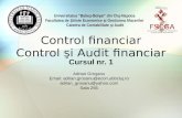 02 Curs 1 Control Financiar