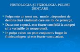 01 -02 Histologia Si Fiziologia Pulpei Dentare (Endod