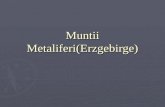 Muntii Metaliferi(Erzgebirge)