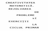 creativitatea matematica