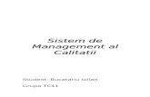 Sistem de Management Al Calitatii
