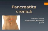 Pancreatita Cronica!!!Ppt