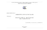Financiar Referat PDF