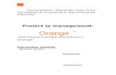 ORANGE - a Si Organizarea Managerial A
