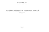 Balcu _Contabilitate consolidata