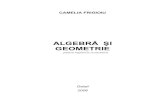 Algebra Si Geometrie Pag 16