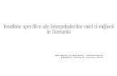 Tendinte Specifice Ale IMM-Urilor in Romania