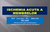 Ischemia Acuta a Membrelor Pp2003
