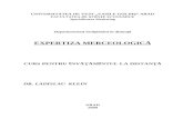 Expertiza Merceologica-Curs ID