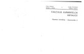 Moga & Pacurar - Calcul Elementelor Metalice - Norme Romanesti - EC3
