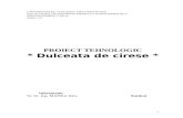 Proiect Tehnologic - Dulceata de Cirese