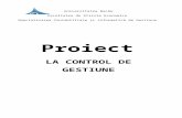 Proiect La Control de Gestiune - Chiriac Bogdan