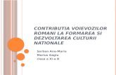Contributia Voievozilor Romani La Formarea Si Dezvoltarea Culturii